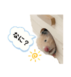 ハム子のポテトさん（個別スタンプ：1）