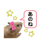 ハム子のポテトさん（個別スタンプ：8）