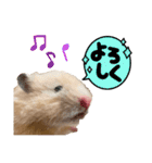 ハム子のポテトさん（個別スタンプ：10）