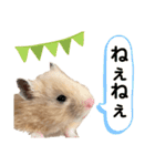 ハム子のポテトさん（個別スタンプ：18）