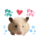 ハム子のポテトさん（個別スタンプ：23）
