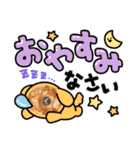 トイプードルの兄弟.pu.lo（個別スタンプ：13）
