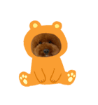 トイプードルの兄弟.pu.lo（個別スタンプ：16）