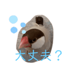 シナモン文鳥さん（個別スタンプ：25）