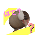 シナモン文鳥さん（個別スタンプ：27）