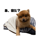 おにぎりまるお（個別スタンプ：5）