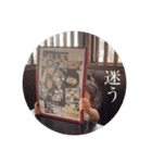 thumugiの日常。（個別スタンプ：5）