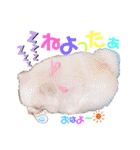 身内すたんぷ♡（個別スタンプ：1）