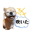 身内すたんぷ♡（個別スタンプ：2）