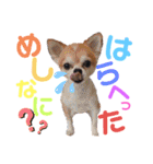 身内すたんぷ♡（個別スタンプ：4）