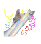 身内すたんぷ♡（個別スタンプ：17）