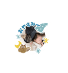 ぷっくりitoくん（個別スタンプ：1）