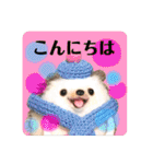 羊毛フェルトのキュートな動物たちvol.3（個別スタンプ：2）