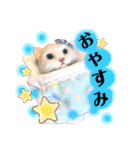 羊毛フェルトのキュートな動物たちvol.3（個別スタンプ：4）