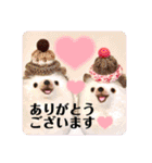 羊毛フェルトのキュートな動物たちvol.3（個別スタンプ：6）