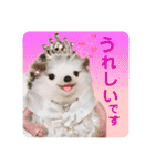 羊毛フェルトのキュートな動物たちvol.3（個別スタンプ：8）