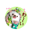 羊毛フェルトのキュートな動物たちvol.3（個別スタンプ：10）
