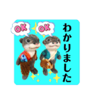 羊毛フェルトのキュートな動物たちvol.3（個別スタンプ：14）