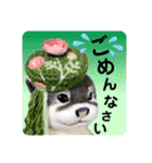 羊毛フェルトのキュートな動物たちvol.3（個別スタンプ：18）