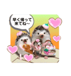 羊毛フェルトのキュートな動物たちvol.3（個別スタンプ：24）