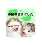 羊毛フェルトのキュートな動物たちvol.3（個別スタンプ：26）