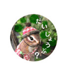 羊毛フェルトのキュートな動物たちvol.3（個別スタンプ：29）