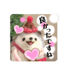 羊毛フェルトのキュートな動物たちvol.3（個別スタンプ：33）