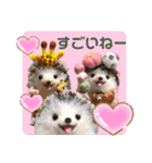 羊毛フェルトのキュートな動物たちvol.3（個別スタンプ：34）