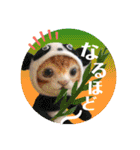 羊毛フェルトのキュートな動物たちvol.3（個別スタンプ：35）