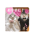 羊毛フェルトのキュートな動物たちvol.3（個別スタンプ：38）