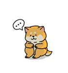 柴犬むち〈LINEスタンプの日〉（個別スタンプ：14）