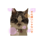 まりもとだらだらしよ（個別スタンプ：2）