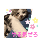 まりもとだらだらしよ（個別スタンプ：6）