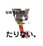 まりもとあそぼ（個別スタンプ：8）