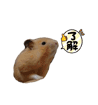 くまきちの日常2（個別スタンプ：4）
