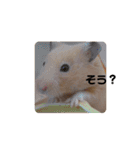くまきちの日常2（個別スタンプ：18）