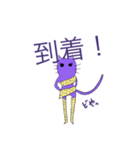 パープルキャットLINEスタンプ（個別スタンプ：15）