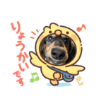 チーラー（個別スタンプ：6）