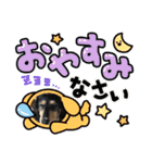 チーラー（個別スタンプ：26）