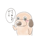 子犬のグーちゃん3（個別スタンプ：8）