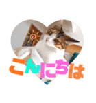 リコにゃんスタンプ（個別スタンプ：2）