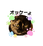 辻川家の花ちゃんスタンプ登場（個別スタンプ：1）