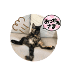 辻川家の花ちゃんスタンプ登場（個別スタンプ：12）