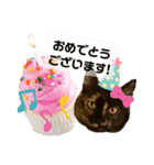 辻川家の花ちゃんスタンプ登場（個別スタンプ：24）