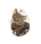 ほのぼのムーちゃん❤（個別スタンプ：8）