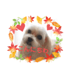 うずれいの毎日（個別スタンプ：4）
