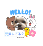 うずれいの毎日（個別スタンプ：6）