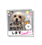 うずれいの毎日（個別スタンプ：8）