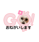 うずれいの毎日（個別スタンプ：9）