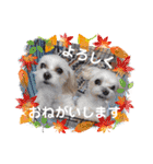 うずれいの毎日（個別スタンプ：10）
